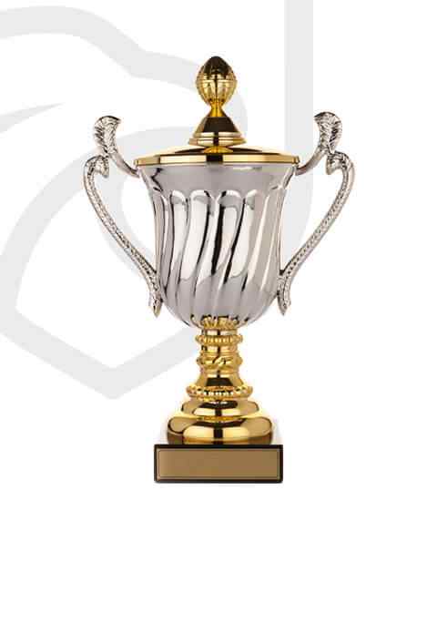 https://unitevolley.yourplaceholder.com/wp-content/uploads/2022/11/trophy_overlay_02.jpg